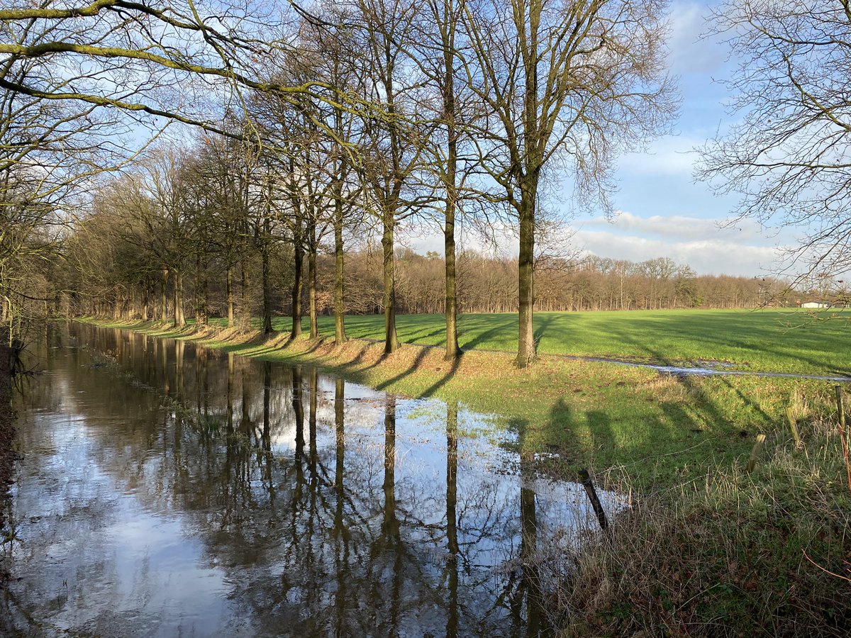 #vrtweer 16:15 Westerlo
