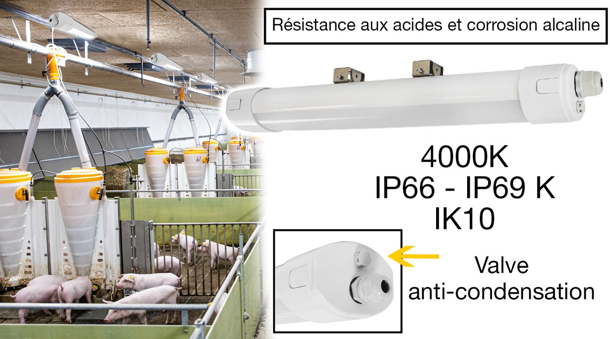 MiidexLighting's tweet photo. Vous travaillez dans l'#Elevage , l'#agroalimentaire ou dans des #cuisines industrielles ? Ces boitiers étanches sont fait pour vous ! IP69 K, ils sont adaptés à des pressions élevées et à un nettoyage à la vapeur :)
#LED #etanche --> https://t.co/JJ7BcMtxSf https://t.co/71JW3P3AmN
