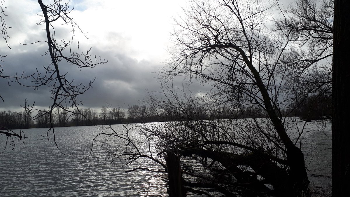 Jan Willems tweet media