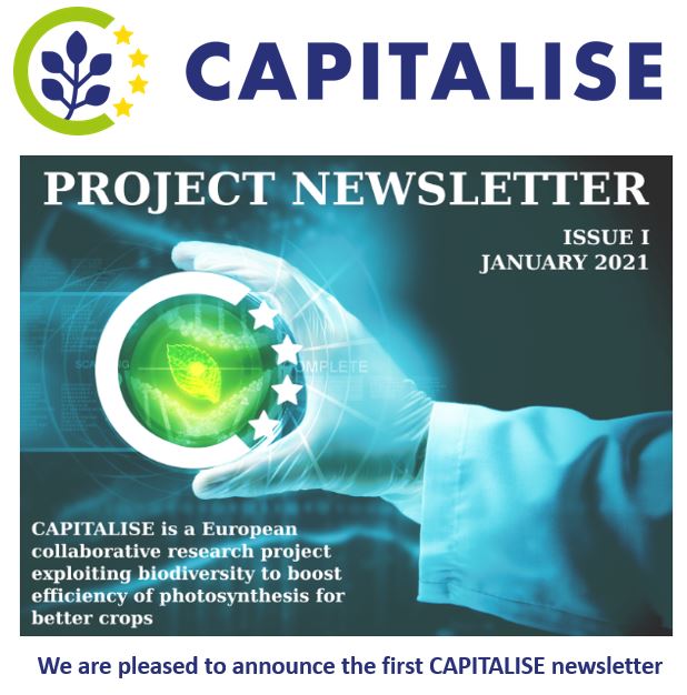 CAPITALISE is #EmbracingNature to improve #photosynthesis . Find our newsletter 👇
mailchi.mp/9985f30c86b0/c… 
#plantscience, #plantbreeding, #geneticresources, #biodiversity, #foodsecurity <a href="/WUR/">Wageningen U&R</a> <a href="/WURplant/">WUR Plant</a>