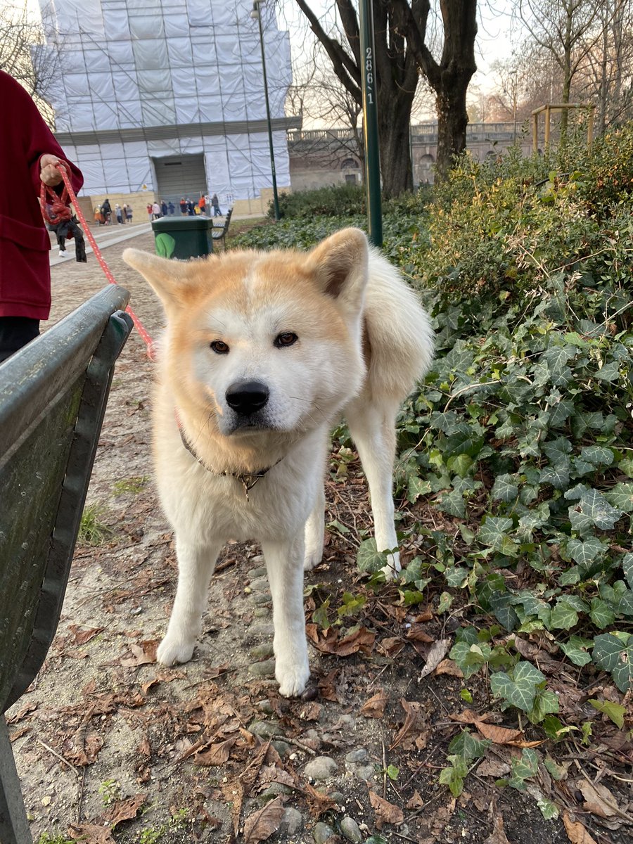 gpreite's tweet image. 