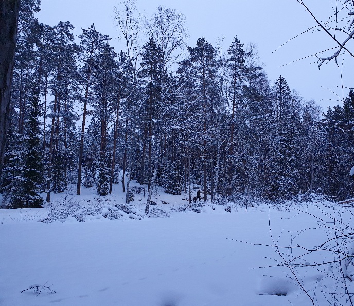 jokkenkirja's tweet photo. #ladulla https://t.co/Pl9Xe2NT5y