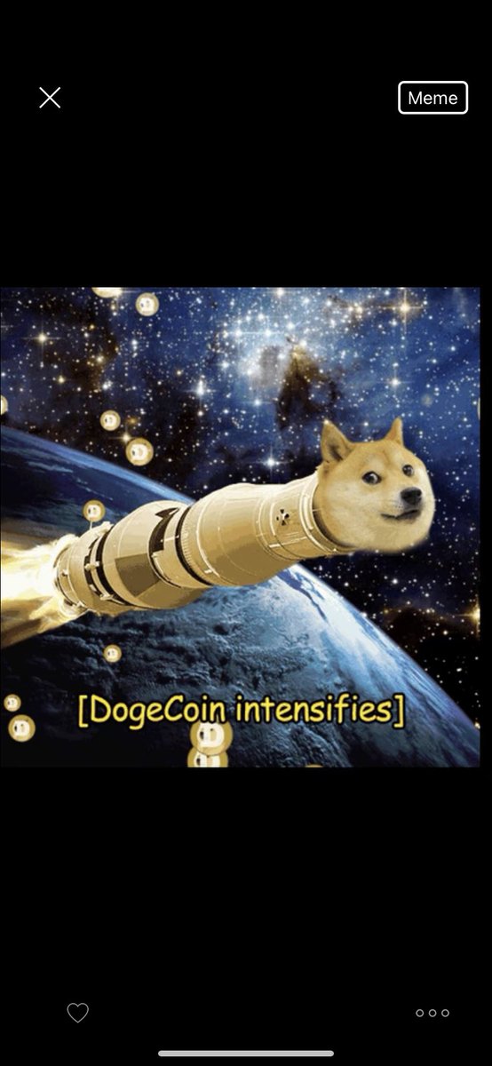 We live and breathe dogecoin today