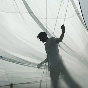 dracostrange_'s tweet image. Taegi au - in the shadows

Durante a invasão para saque e vandalismo, o Capitão Valete acaba salvando um garoto prestes a morrer queimado como um bruxo. 
Quem é Yoongi? E que segredos ele esconde do Capitão, porque seu corpo é coberto com desenhos, e porque o mal o segue?