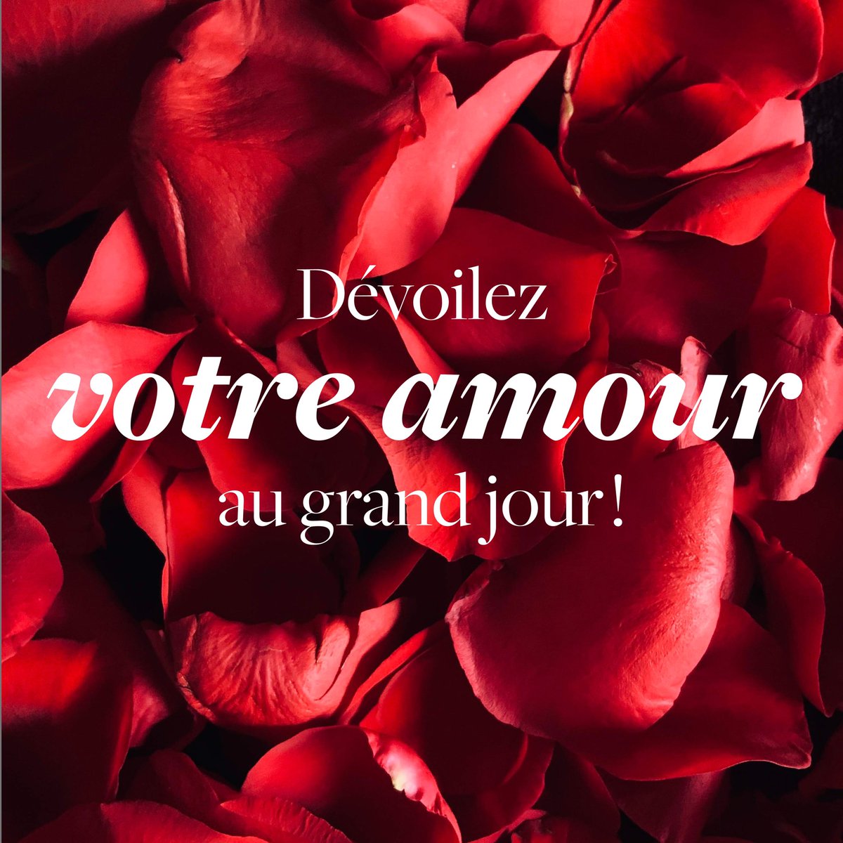 theoneaivendome's tweet image. Plus que deux semaines avant le grand jour ! Dévoilez vos sentiments en lui offrant le plus beau des cadeaux : un bijou.

#TheOneAI #Bijoux #VisualMatch #SaintValentin