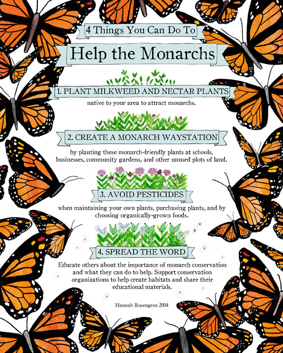 21 Bee-Friendly Plants and Help the Monarchs- by Hannah Rosengren, a freelance illustrator in Maine. Check out more of her work: HannahRosengren.com

#BanNeonics