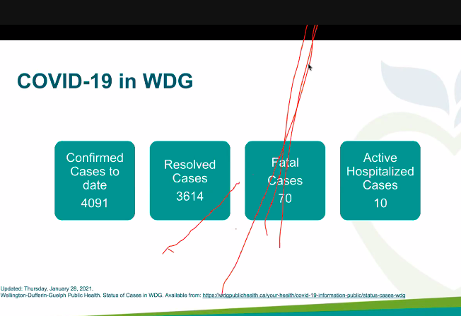 This is the current picture. Mercer calls it a "significant health episode", but notes that WDG has fared better than some of our neighbours in the crisis.
