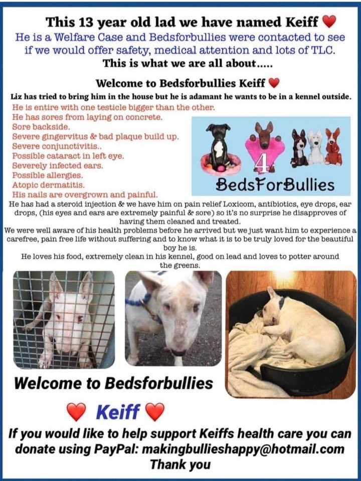 #FF <a href="/PeterEgan6/">Peter Egan</a> @CARIADCAMPAIGN <a href="/marcthevet/">Dr Marc Abraham OBE</a> <a href="/pupaid/">Pup Aid 2026</a> <a href="/_AnimalAdvocate/">ANIMAL ADVOCATE  Ⓥ</a> <a href="/foarctwales/">Eileen Jones</a> @Kraturescuedog @scamperspets <a href="/Phoenixfbrescue/">♡ Phoenix FB Rescue UK ♡</a> <a href="/bedsforbullies/">Liz Haslam</a> <a href="/gsrescueelite/">German Shepherd Rescue Elite ( GSRE )</a> <a href="/SeniorStaffy/">Senior Staffy Club Dog Rescue</a> <a href="/Nightowl400/">Owly</a> <a href="/Penny2449/">Penny</a> @sandssims <a href="/dotslondon/">Dogs On The Streets</a> <a href="/RescuesSmiles/">Staffie_smiles_rescues</a> <a href="/AMuttleyCrew/">A Muttley Crew</a> <a href="/MADRADogRescue/">MADRA Mutts Anonymous Dog Rescue & Adoption</a> 🐾💚