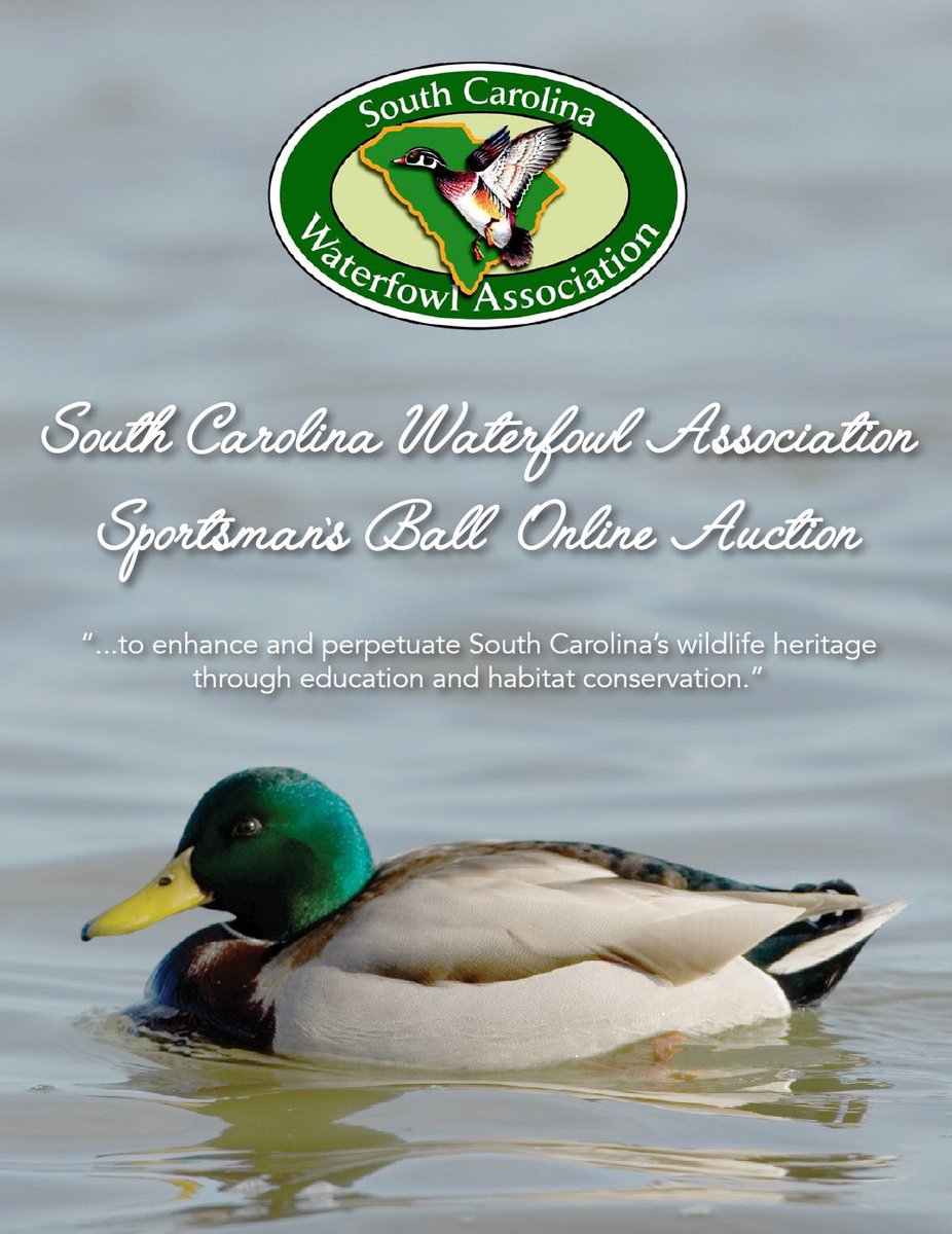 SC_Waterfowl's tweet photo. The Sportsman's Ball Online Auction will run from FEBRUARY 19-27! The auction list is full of incredible items, trips, and hunts! Take a look! ⬇️

https://t.co/sYPSd8pKPz https://t.co/vdOxbqZTjb
