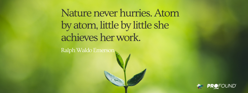 profoundtalent's tweet photo. Remember.... success is achieved by taking one step at a time. Embrace and celebrate your small steps, don't be in a hurry. It will all happen in it's own time.
#success #motivation #entrepreneurship #goals #growth #coaching #mindset #beprofound #profoundtalent https://t.co/KdOdHsHuT8