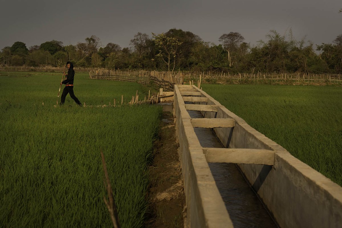  ❝You can see the people are busy, they are very active developing the fields and taking care of their vegetable gardens and they are doing it with no fear of unexploded bombs.❞More than 30 families in Ban Kayou share the land and will benefit equally from the harvests.