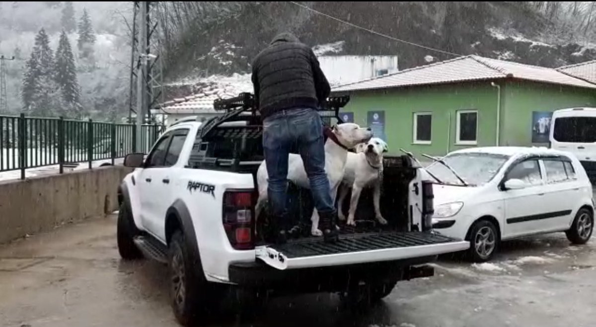 EVLATLARIM YUVASINDA youtu.be/maGhnMipd-o <a href="/YouTube/">YouTube</a> aracılığıyla