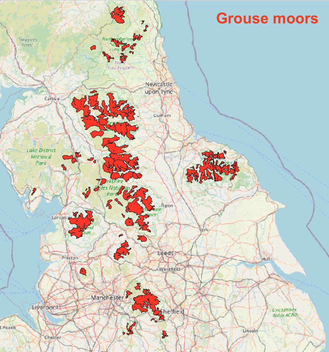 THREAD: How many grouse moor estates will the Government's (very caveated) moorland burning ban affect? I've been taking a look at some maps...Firstly, here's a map of where grouse moors are in England, approximately - built by  @beadyallen & me a few years ago.(1/10)