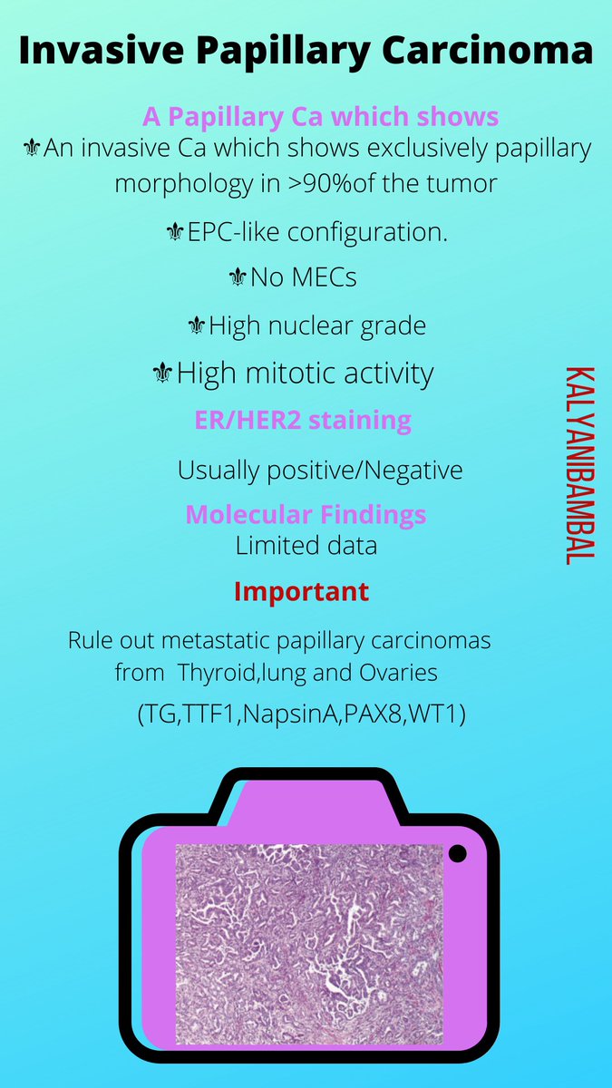  @md_kyle  @JenyaMD  @drsskale  @Histopatolomon  @LizaMQuintana  @luismig90544508  @SolerDoc  @miss_me1986  @MeghanaAgniMD  @FrozenSections  @oncopathmmb  @oncopat