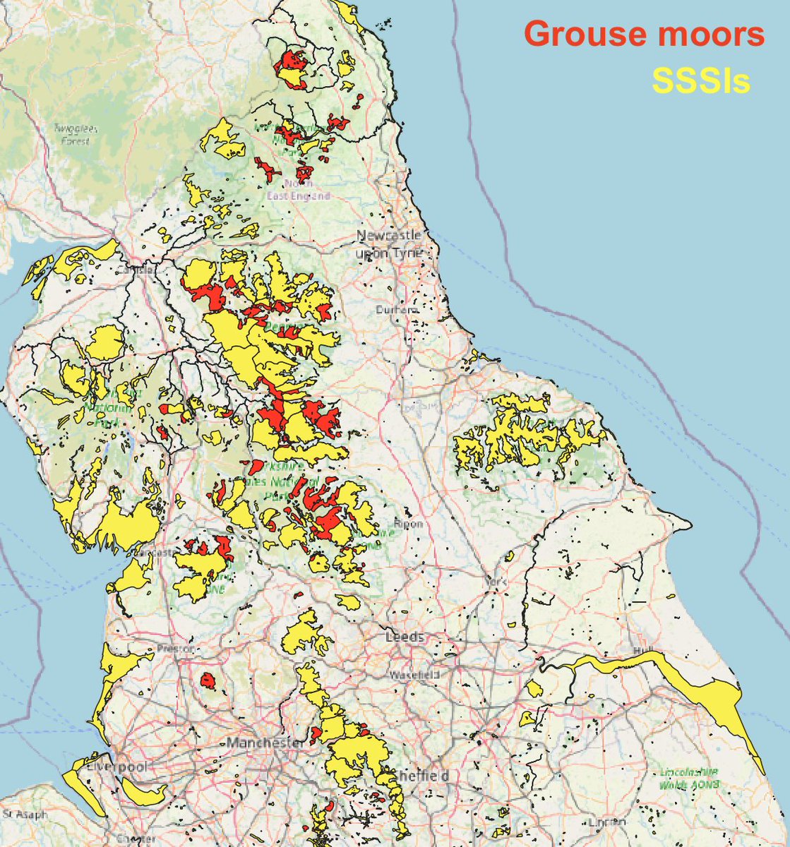 Here’s where grouse moors are covered by SSSI designations (Sites of Special Scientific Interest). Many are; the red areas are grouse moors outside of SSSIs. This is the first criterion to be caught by the burning ban. (see  https://www.gov.uk/government/news/englands-national-rainforests-to-be-protected-by-new-rules)(2/10)
