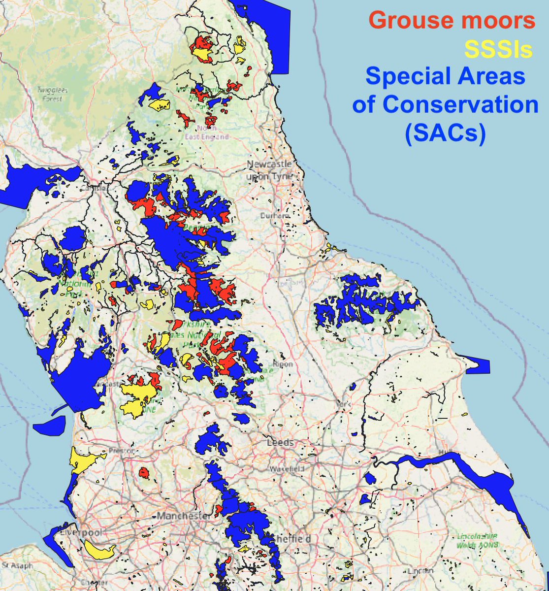 And here’s where grouse moors are covered by SSSIs, Special Areas of Conservation (SACs) and Special Protection Areas (SPAs). Most are covered by all three nature designations. Areas in red show the grouse moors outside them.(3/10)