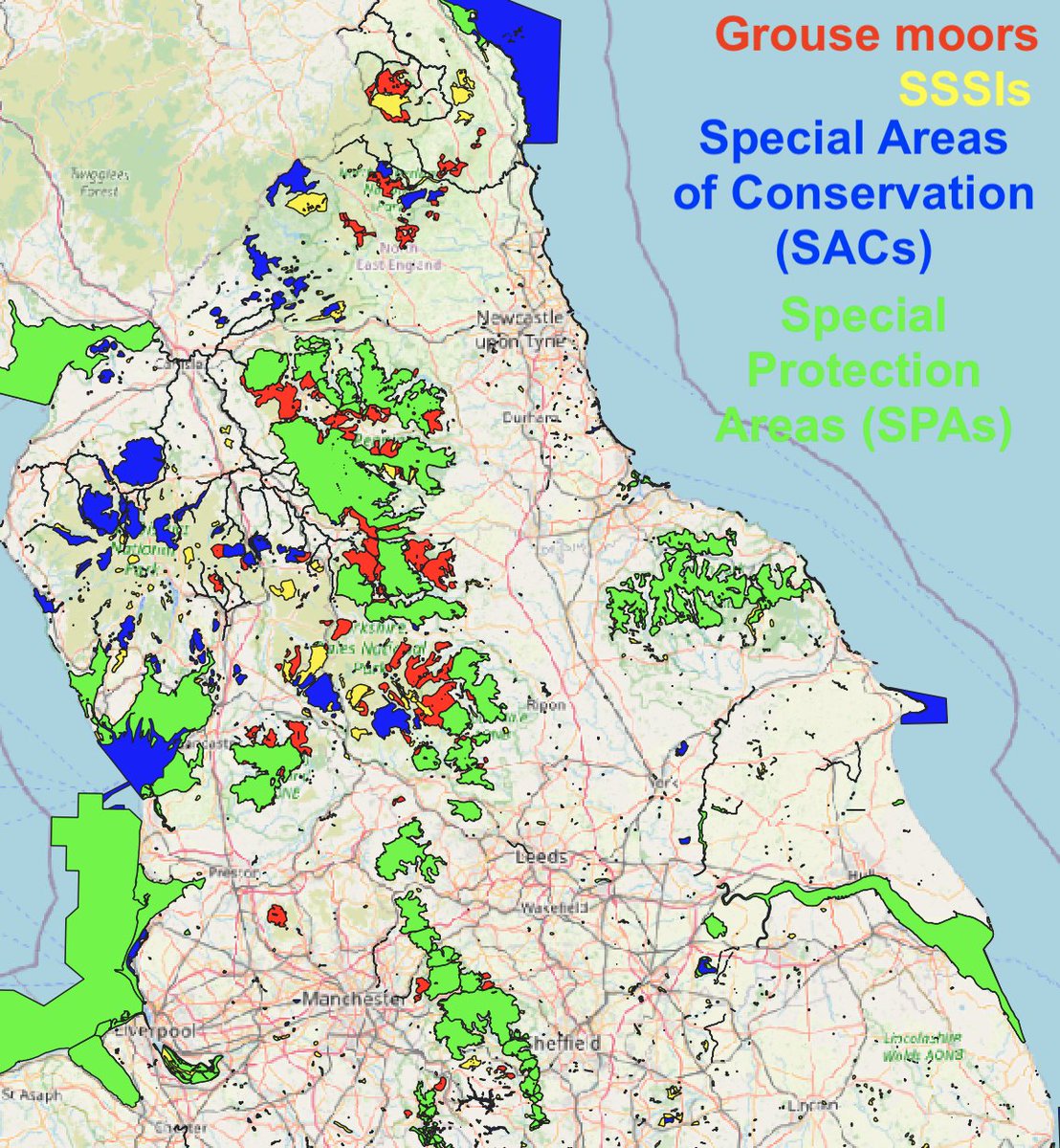 And here’s where grouse moors are covered by SSSIs, Special Areas of Conservation (SACs) and Special Protection Areas (SPAs). Most are covered by all three nature designations. Areas in red show the grouse moors outside them.(3/10)