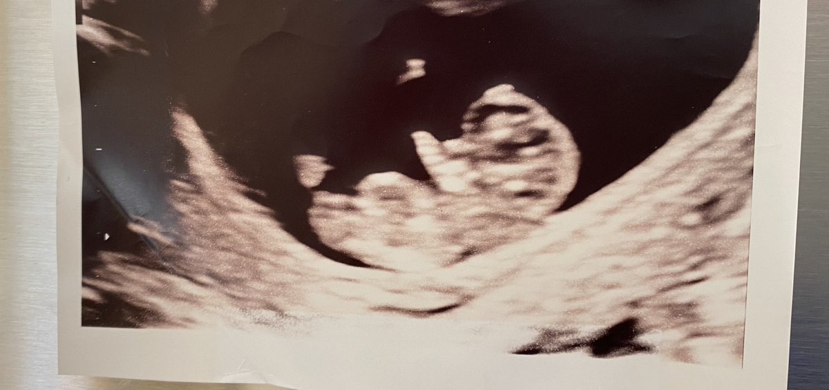 Kayleigh McEnany tweet media