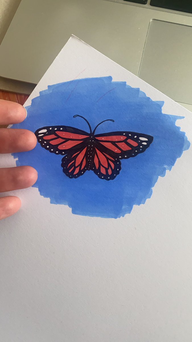 THREADMy brother lives in Costa Rica & I’m in yet another London lockdown (haven’t seen him for 2+ years now). He keeps sending me pics from his day-to-day life & I respond with pics of mine. Not much difference really, is there? Happy Friday! Hope these make you smile!