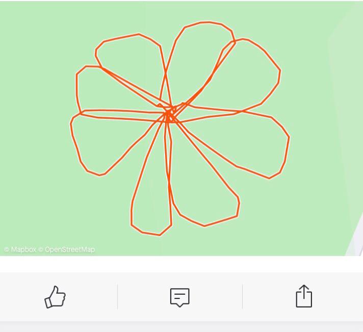 Feeling Floral from Year 12 🌸🌼<a href="/SalesianSchool/">Salesian School</a>