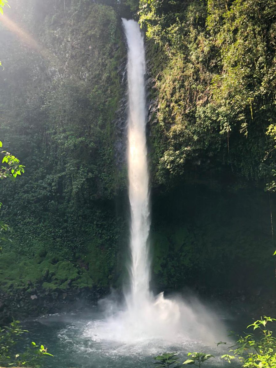 THREADMy brother lives in Costa Rica & I’m in yet another London lockdown (haven’t seen him for 2+ years now). He keeps sending me pics from his day-to-day life & I respond with pics of mine. Not much difference really, is there? Happy Friday! Hope these make you smile!