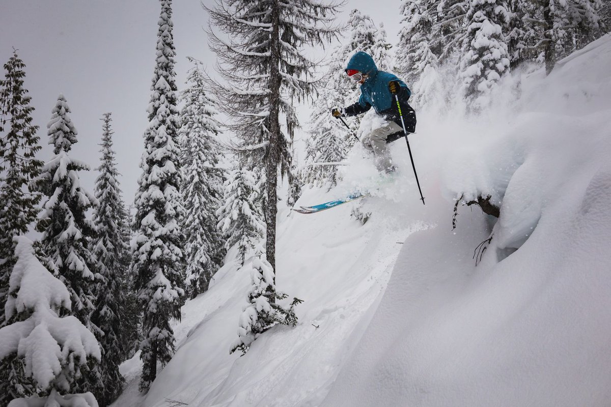 redresort's tweet photo. Who got a slice of pow pie yesterday? 🏂⛷ We have another 8cm of fresh snow to play in today!

📸 Shannon Martin | #REDresort #REmountain #ski #snowboard #britishcolumbia https://t.co/dfgJbQxK8k