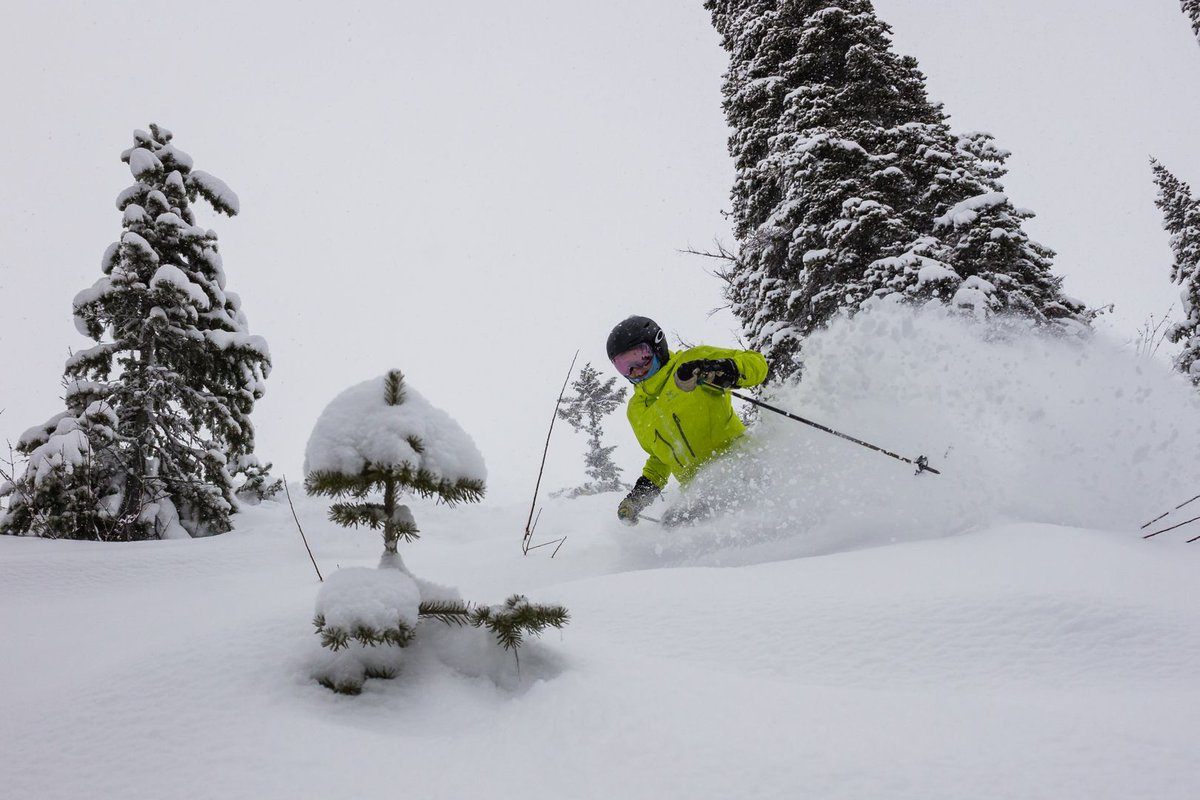 redresort's tweet photo. Who got a slice of pow pie yesterday? 🏂⛷ We have another 8cm of fresh snow to play in today!

📸 Shannon Martin | #REDresort #REmountain #ski #snowboard #britishcolumbia https://t.co/dfgJbQxK8k