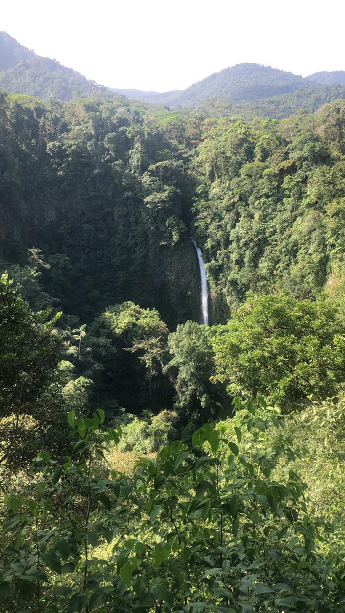 THREADMy brother lives in Costa Rica & I’m in yet another London lockdown (haven’t seen him for 2+ years now). He keeps sending me pics from his day-to-day life & I respond with pics of mine. Not much difference really, is there? Happy Friday! Hope these make you smile!