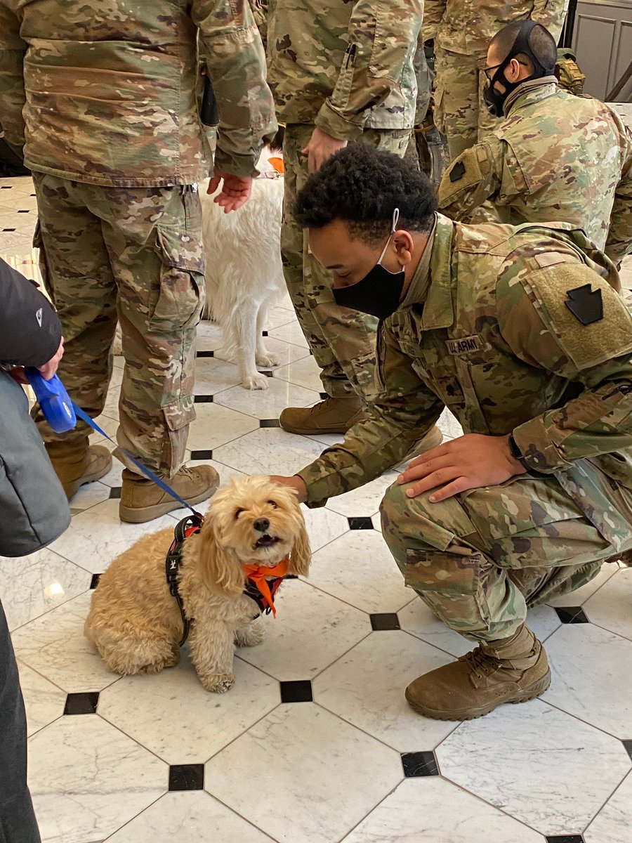 Olivianuzzi's tweet photo. Today, a group of therapy dogs from @PALdogs were brought to the Hamilton Hotel in DC, where more than 250 National Guard members have been staying since they were deployed here following the insurrection. https://t.co/cQeLy1do27
