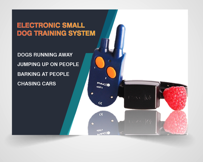 PACDOGCOLLARS's tweet photo. 2 Year Warranty Mini Small Dog Training Systems. Communicate with your dog at a distance, reinforce your commands or whistle by giving the correction when needed, Lightweight & Waterproof. #dogcollar #ecollars #gundog #dogtraining
https://t.co/GIEXaUhX7i https://t.co/8HxQ6C2mmw