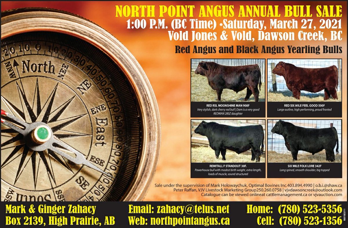 North Point Angus (@northpointangus) on Twitter photo 