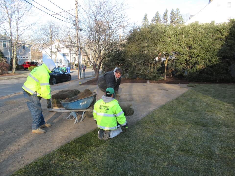 IeraciCorp's tweet photo. Installing sod January 26th before snowstorm.
Farlee Road Newton, MA!!!!! #landscaping #ieracilandscaping #ieraci https://t.co/g3wATASqju