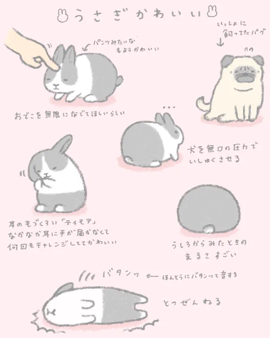 ?うさぎかわいい?

昔飼ってた子を描きました。
?←この絵文字そっくり 