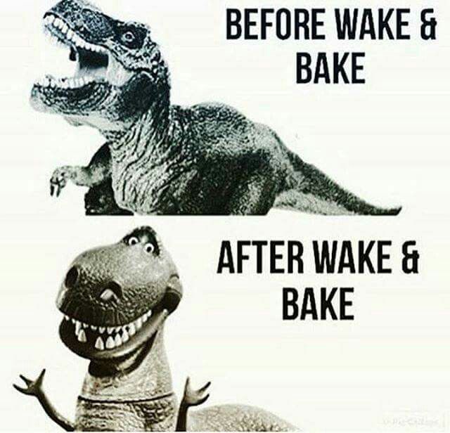 NativeHarvest_M's tweet photo. **Information Only. Nothing For Sale Online.**
Before: *Angry, Extremely Vocal Dinosaur Noises*
After: *Jazz Hands*
#NativeHarvestFarms #MooreOK #Oklahoma #WakeAndBake #VibeWithNH https://t.co/YuCXchU0S2