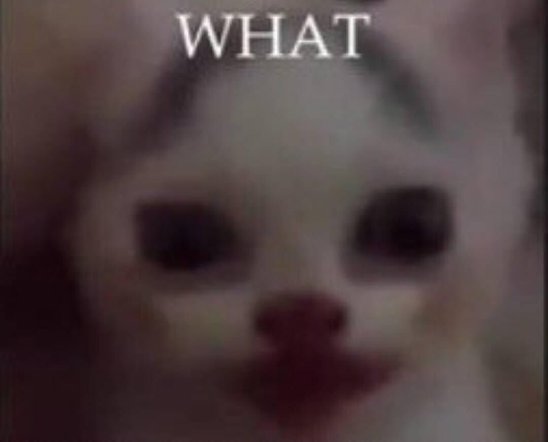 httpmio's tweet image. 