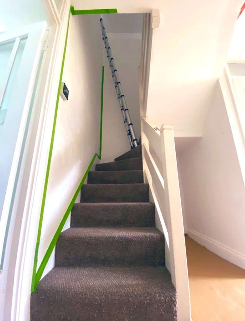 THREADMy brother lives in Costa Rica & I’m in yet another London lockdown (haven’t seen him for 2+ years now). He keeps sending me pics from his day-to-day life & I respond with pics of mine. Not much difference really, is there? Happy Friday! Hope these make you smile!