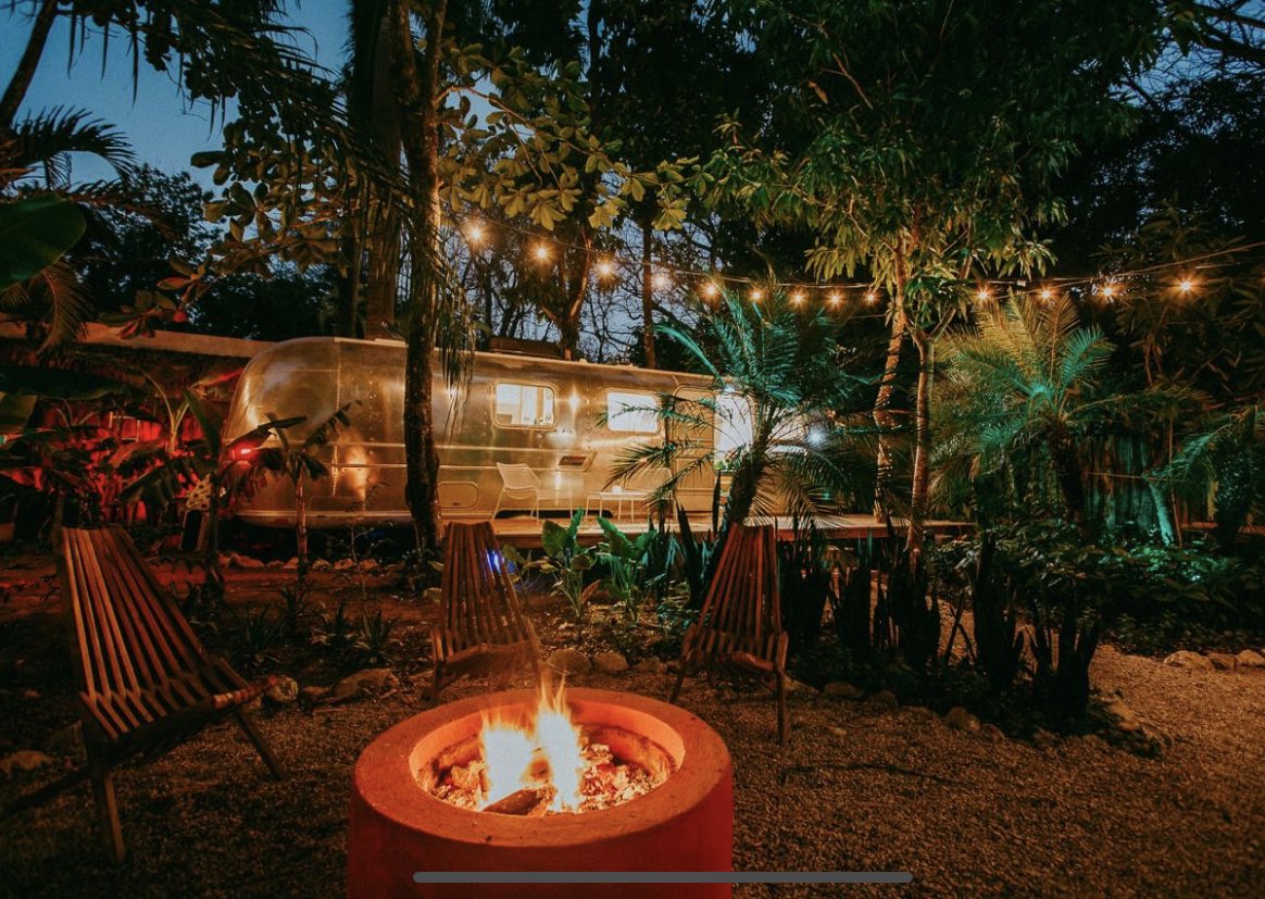 THREADMy brother lives in Costa Rica & I’m in yet another London lockdown (haven’t seen him for 2+ years now). He keeps sending me pics from his day-to-day life & I respond with pics of mine. Not much difference really, is there? Happy Friday! Hope these make you smile!