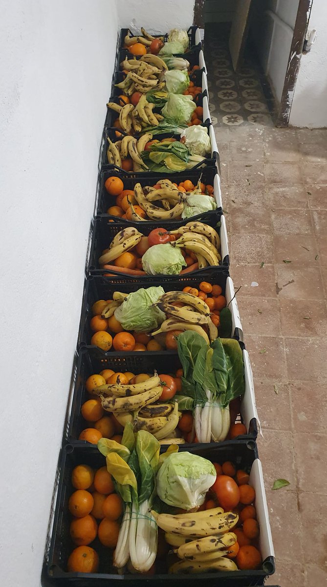 alimentsmaresme's tweet photo. Avui a Ca'l Comú de #Cabrils fem el segon lliurament de la setmana, tot de fruites i verdures gràcies a la col·laboració del Banc dels Aliments de #mercabarna, de #CanRin i de #fisterramar
@tweetplanetario @ajcabrils https://t.co/CxrkrltQJZ