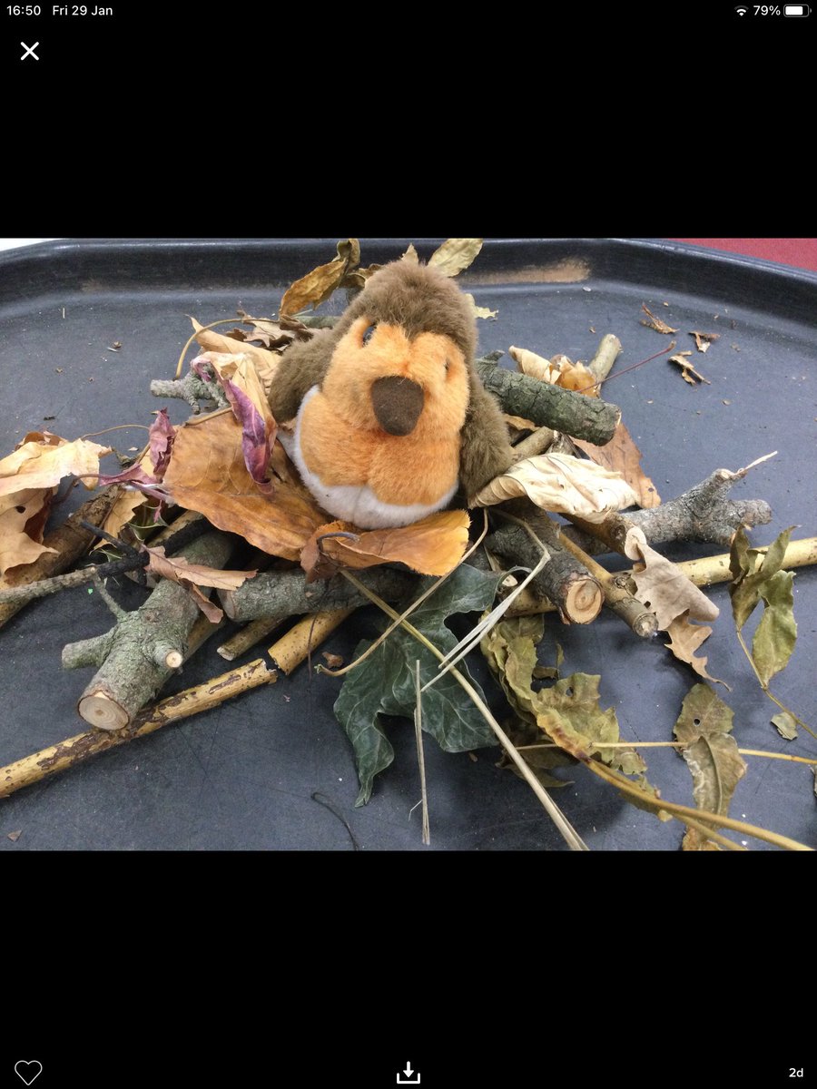 HTAClassF1's tweet photo. We have had such a busy week in The Woodlands this week, both in school and at home. We have been finding out about lots of different birds after reading our book of the week “Owl’s Winter Rescue”. https://t.co/ppnYS6oJr5