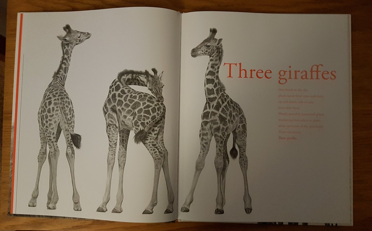 Totally self-taught, Stephen found that charcoal was ‘more suited’ as a medium to ‘creating an effect like fur’. Whilst studying Geography at Manchester Uni. that connection between the natural world & art grew & both elements were enriched through his love of photography (3/5)