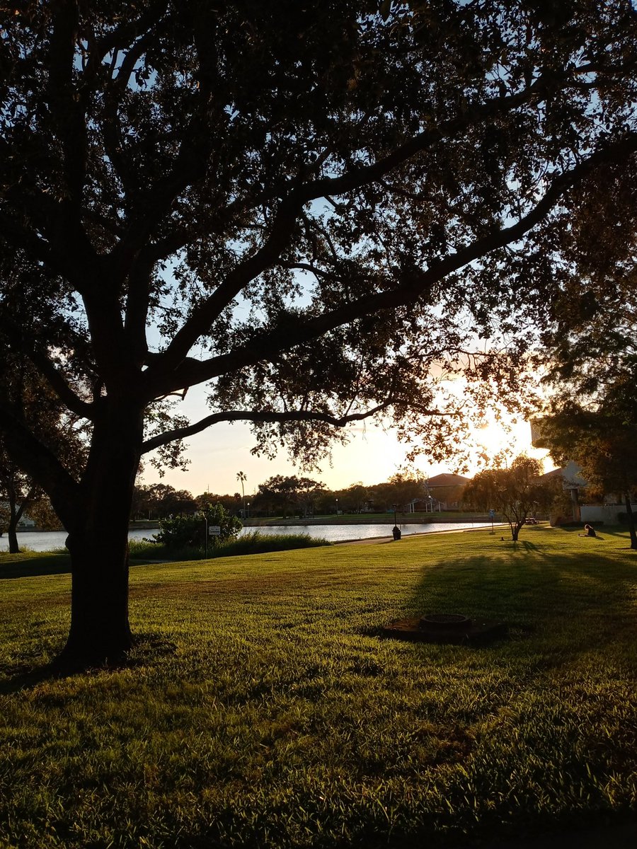 usfsp_sce's tweet photo. What's your favorite spot on campus?
·
·
·
·
·
·
#usfsp #usfspusc #usfspsce #student #studentcenter #studentunion #collegeunion #favoritespot #StPetersburg #stpete https://t.co/fn6MnNzwZa
