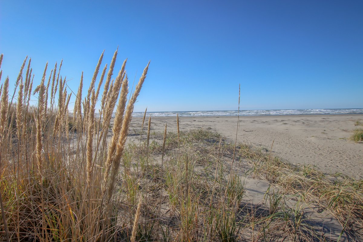 2021 is moving fast - it's almost February! Not long before sunny beach days again 🌞