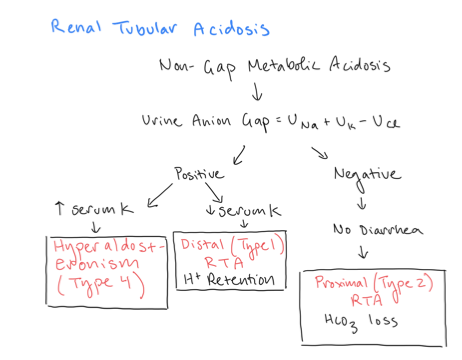 Northwestern IM Chiefs (@nuim_chiefs) on Twitter photo #medtwitter, are you puzzling over RTA? Check out this quick guide and #nephtwitter
<a href="/kidney_boy/">Joel M. Topf, MD FACP</a>, let us know what your thoughts!
#TeachingElective with @DxRxEdu and <a href="/kamcgeemd/">Katherine McGee MD</a>
<a href="/NU_IntMed/">NU Internal Medicine</a> <a href="/NU_Nephrology/">Northwestern Kidney</a> <a href="/NMNephrology/">NM Nephrology</a> #medtwitter, are you puzzling over RTA? Check out this quick guide and #nephtwitter
<a href="/kidney_boy/">Joel M. Topf, MD FACP</a>, let us know what your thoughts!
#TeachingElective with @DxRxEdu and <a href="/kamcgeemd/">Katherine McGee MD</a>
<a href="/NU_IntMed/">NU Internal Medicine</a> <a href="/NU_Nephrology/">Northwestern Kidney</a> <a href="/NMNephrology/">NM Nephrology</a>