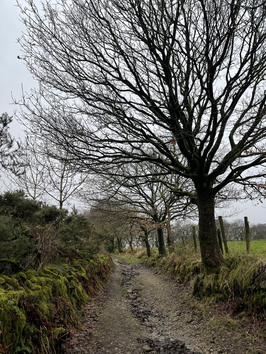 JoAungierMYC's tweet photo. 6 mile round walk today, Smithills, and Barrow Bridge, even did the 59 steps #needabrew https://t.co/NRgtFGEvGf