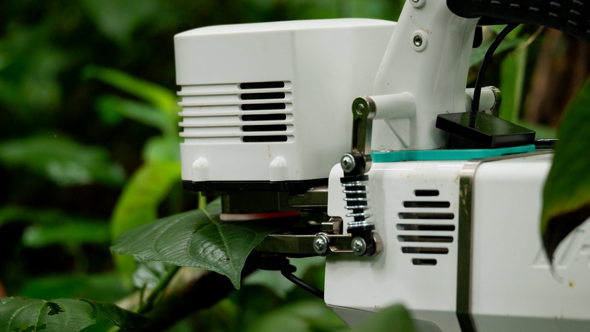 Photosynthesis campaign: We use the LI-6800 from  @LICOR_ENV to take gas-exchange measurements from the plants at the plots. We want to see how warming changes different areas in the photosynthetic process. We do this campaign twice a year.