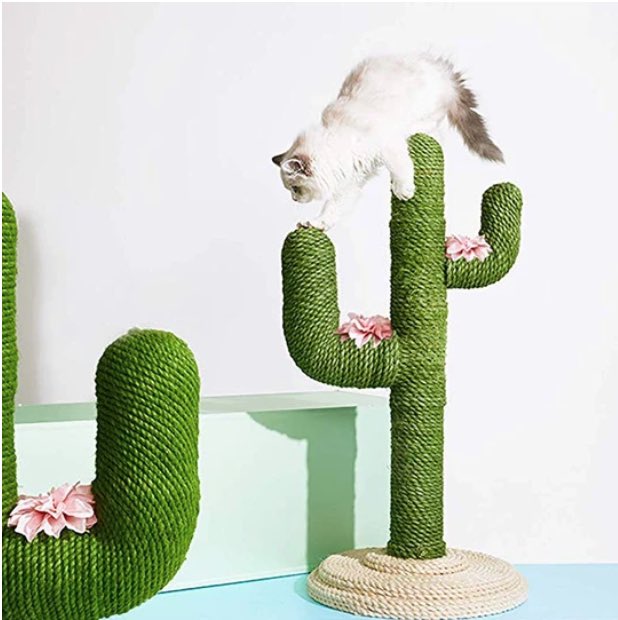 MorganeSkx's tweet photo. Ce que j’ai commandé VS ce que j’ai reçu 🤗🤗 #catcactus https://t.co/frKdTrKmQW