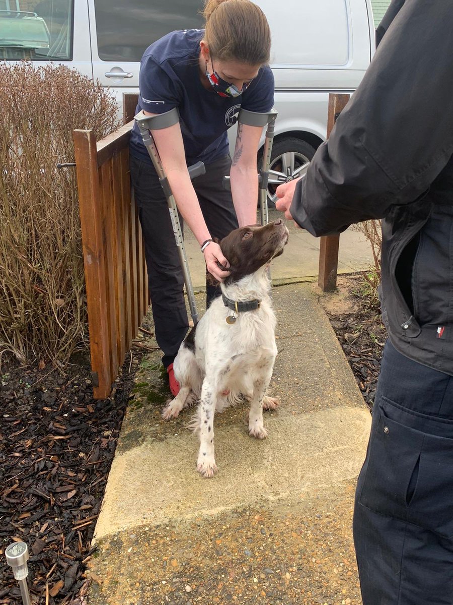 PD_DexterWBDOG's tweet image. Last WB visit of the week for PDDexter @MetTaskforce .With permission from his fabulous Boss , he went to see  @kazattacks who was knocked off her motorbike and has a fractured pelvis. A very brave girl who is a technician @Ldn_Ambulance .Looks like Dex felt right at home 🤣🐾🐾
