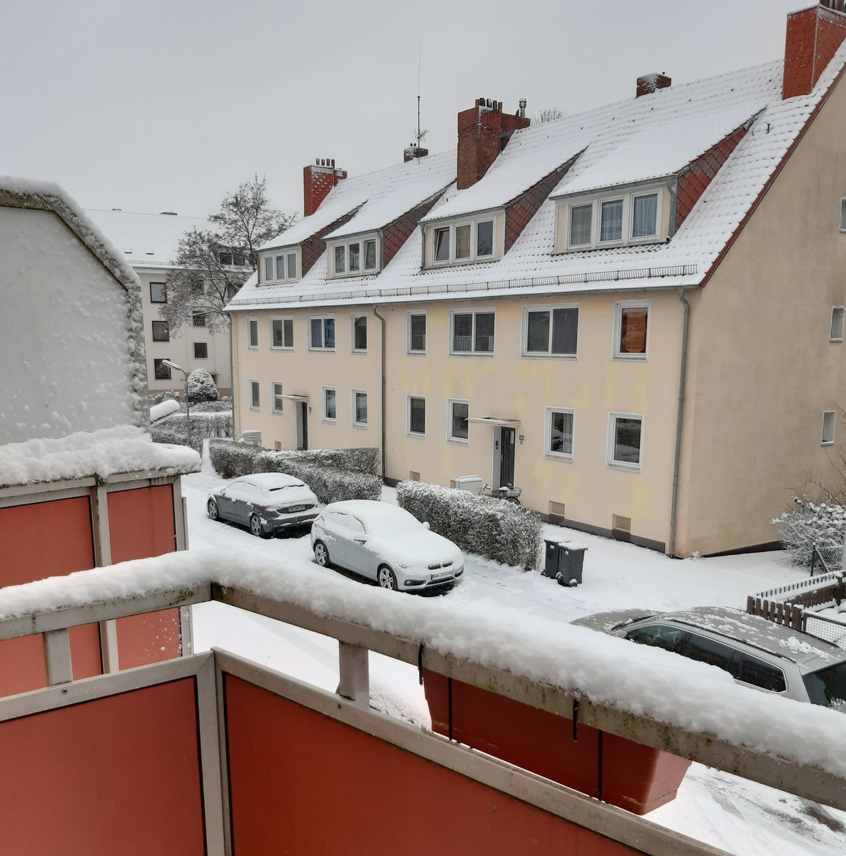 First snow in the City 🛷☃️