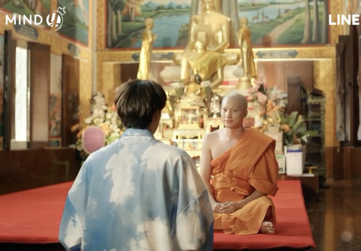 новелла тарна тайпа