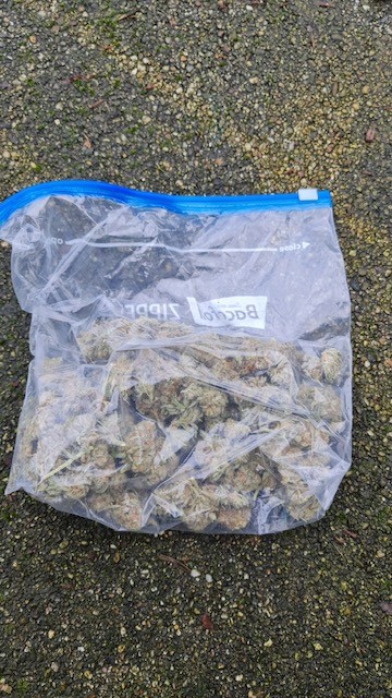 MPSRTPC's tweet photo. #ProjectServator officers from #RTPCTaskingTeam 4 are specially trained to disrupt criminality.
Our latest result is an arrest for possession with intent to supply cannabis.
The suspect was detained after a considerable foot chase.
#TogetherWeveGotItCovered https://t.co/2zw95iHh7V